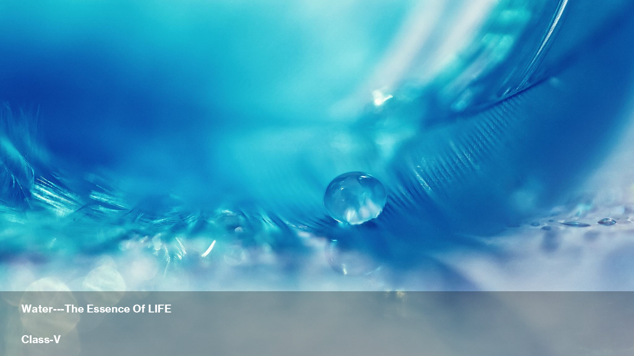 WATER --- THE ESSENCE OF LIFE 