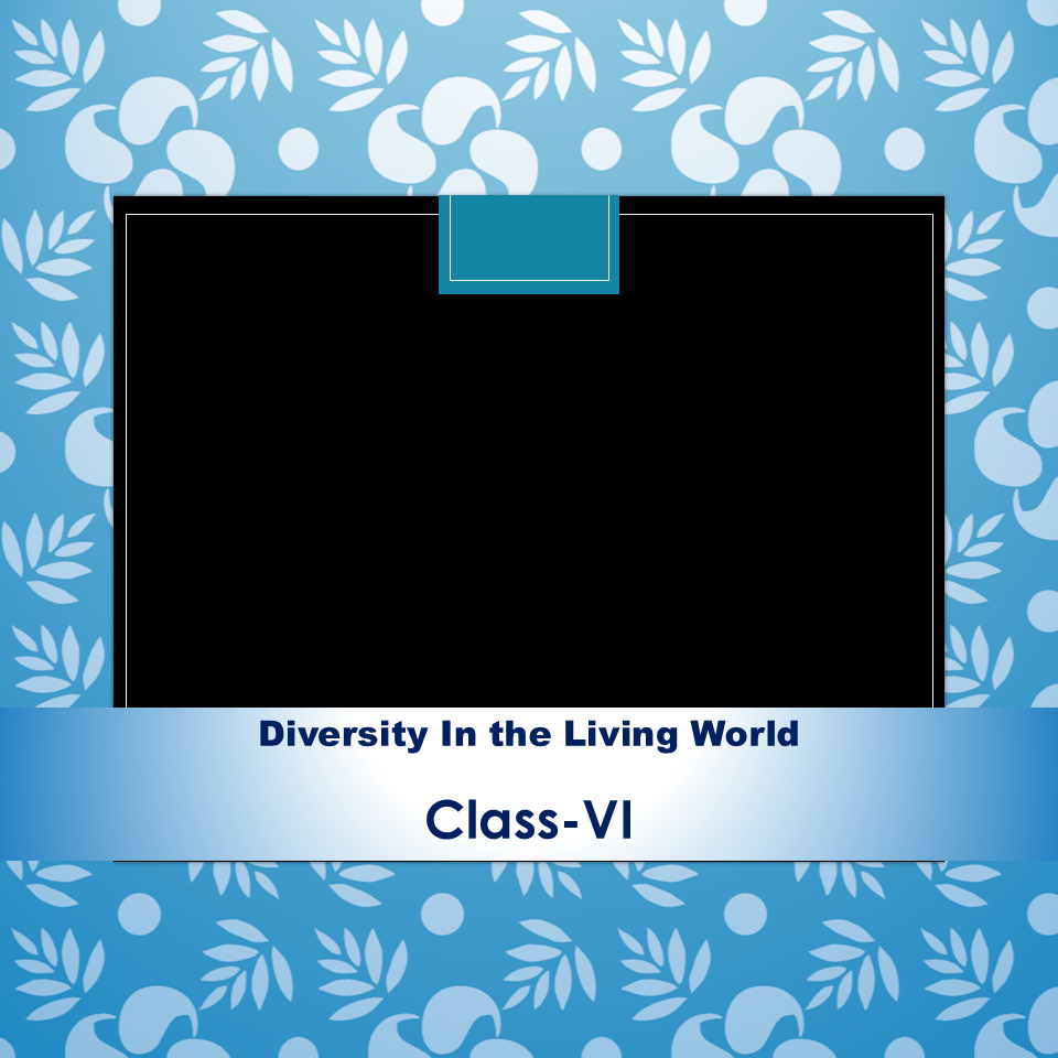 DIVERSITY IN THE LIVING WORLD